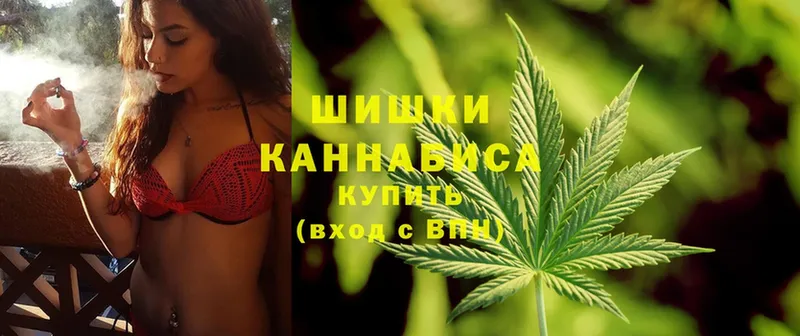 наркотики  Заозёрск  МАРИХУАНА OG Kush 